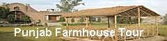 Punjab Farmhouse, Punjab Farmhouse Tour, Punjab Farmhouse Stay